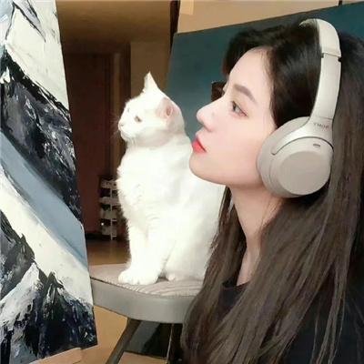 痴情快婿