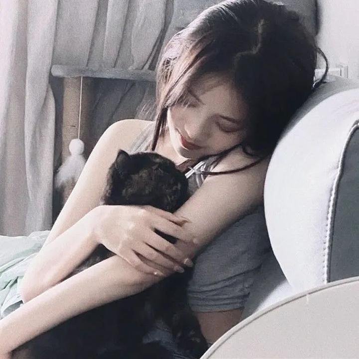 小菊的春天